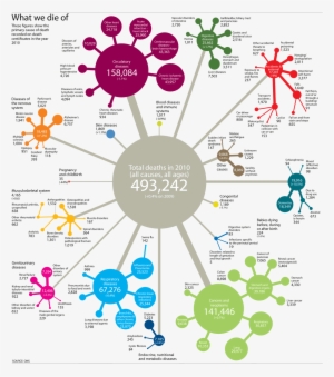 Every Cause Of Death In England And Wales, Visualised - Epidemiology Graphic #3092437