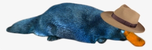 Perry The Platypus In Reallife Png Image - Platypus Transparent Png #3092825