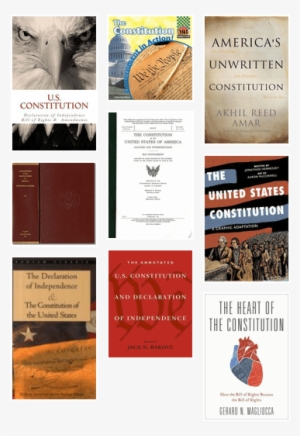 United States Constitution: A Graphic Adaptation [book] #3093452