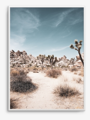 Joshua Tree - Sahara #3093453