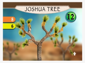 Desert Expansion #3093755