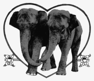 This Free Icons Png Design Of Lover Elephants #3093903