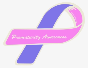 Paris Las Vegas #3094151