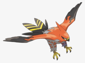 Talonflame - Imagenes De Pokemon Talonflame #3094284