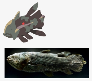 Relicanth - Pokemon Relicanth #3094779