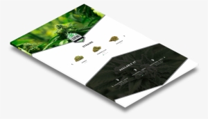 We Believe That Technology Shapes Today's Culture Like - Oregon #3096036