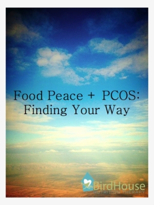 Have Pcos You Can Make Peace With Food Too - Polycystic Ovary Syndrome #3096734