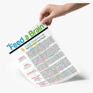Favorite Supplement Handout - Brain #3096868