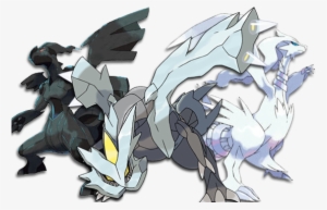 5th Gen [zekrom] Vs Reshiram Vs Kyurem [archive] - Pokemon Reshiram And Zekrom And Kyurem #3096958