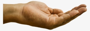 Hand Out To Receive Money - Palm Up Palm Down #3097009