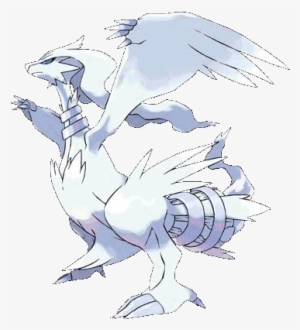 The Counterpart Legend Is Zekrom, The Black Yang Pokemon, - Legendary Black And White #3097296