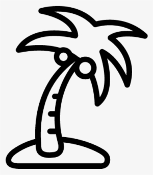 Palm Tree With Coconauts Vector - Summer Clip Art Black And White #3097994
