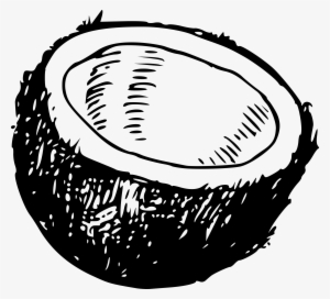 Clipart - Coconut Clipart Black And White #310614
