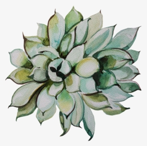 This Graphics Is Fresh Hand-painted Succulents Transparent - Portable Network Graphics #310658 This Graphics Is Fresh Hand-painted Succulents Transparent - Portable Network Graphics #310658