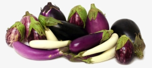 Eggplant Png Transparent Image - Eggplants Png #311644