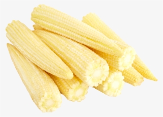 Free Png Baby Corn Cobs Png Images Transparent - Baby Corn Png Png #311724
