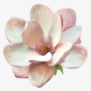 Magnolia Tattoo - Magnolia Flower Transparent Background #311764