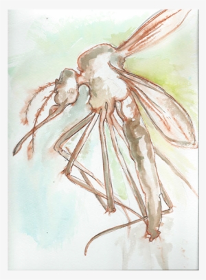 A Life Worth Living - Sketch #311831