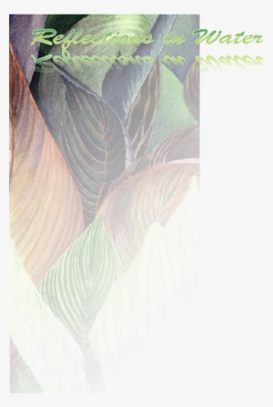 Model For End-stage Liver Disease #311853