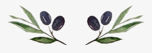Watercolor Autumn Tree Tattoo - Olive Leaf Watercolor Png #312035