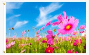 Spring Flowers Flag - Online Stores 3ft X 5ft Decorative Flag - Pink Flowers #312459