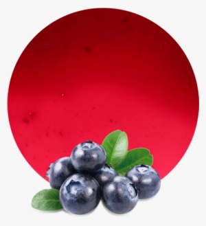 For This Reason, We Only Use The Best Blueberries To #312795