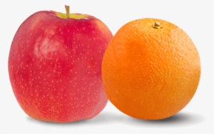 Caracara Pinklady Single Fruits - Cara Cara Navel #313697