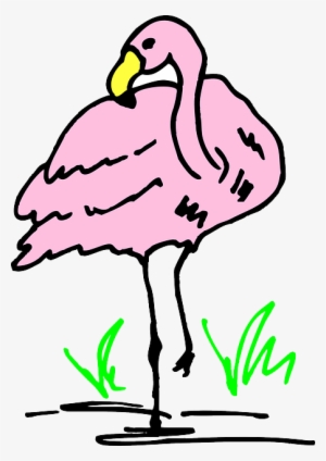 Water, Cartoon, Pink, Bird, Grass, Art, Flamingo - Flamingo Cartoon #313950
