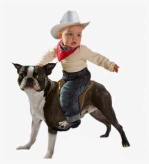 Share This Image - Alt Empordà, Port Of Cadaqués #314116