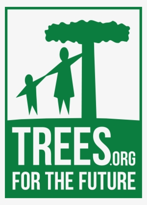 Png - - Easy Makeup Styles For The Modern Woman #314228