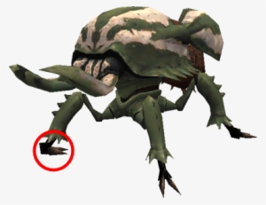 Ffxi Beetle Foot Glitch - Final Fantasy 10 Glitch #315251