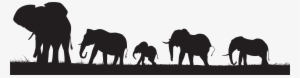Herd Of Elephants Silhouette #315338