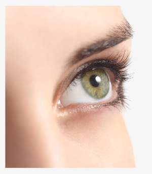 Our Aesthetician Has Been Performing Individual Extensions #315339