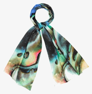 Abalone #315531
