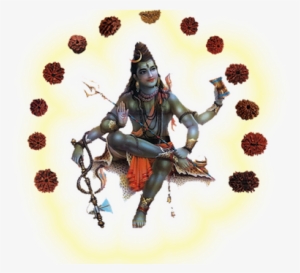 Rudraksha Small - Lord Shiva #315538