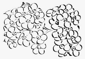 Flowers Outline Clip Art - Forget Me Not Flower Svg #315629