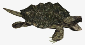 Alligator Snapping Turtle - Snapping Turtle Png #316142