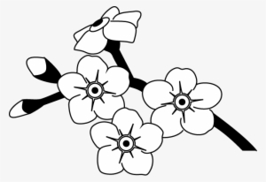 Drawn Flower Spring - Forget Me Not Flower Outline #316264