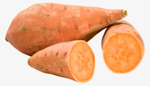 Free Icons Png - Sweet Potato Clipart Transparent #316427