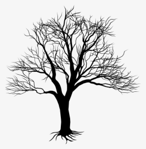 Drawing Of Tree On Wall - Kill A Mockingbird Tree #317347
