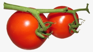 Fresh Tomato Free Png Image - Food #317348