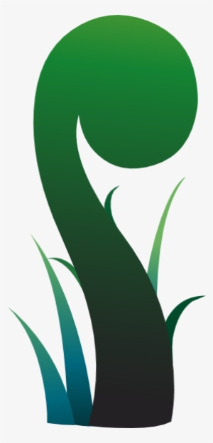 Plany Giant Fern #317936