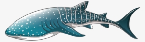Png Freeuse Library Whale Png Best Web - Whale Shark Vector #318259