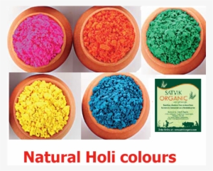 Satvik Organic-natural Holi Colours Combo,500gm #318458