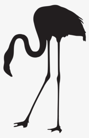 Flamingo Silhouette Png Transparent Clip Art Image - Flamingo Silhouette Png #318477