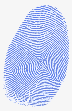 Fingerprint #318733 Fingerprint #318733