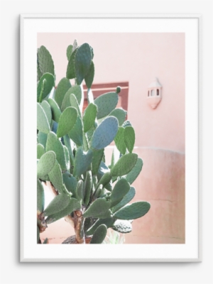 California Cactus No I California Cactus No I - Cactus, California #319115