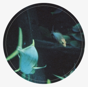 Side B Soundcloud #319210