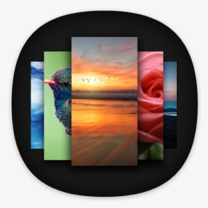 Apex Wallpaper Hd 4k Background Touch Effect لقطة للشاشة - Android #3101086