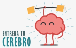 Incrementa Algunas Áreas Del Cortex Cerebral Lo Que - Brain Clipart Png #3101417